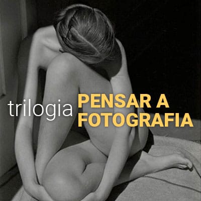 TRI-F---logo_QD